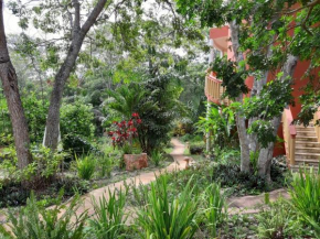  Eco-Hotel Nueva Altia  Санта Элена